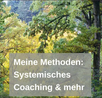 Methoden des Systemischen Coachings