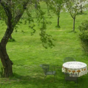 Warum zu Coach Alexander Hohmann gehen